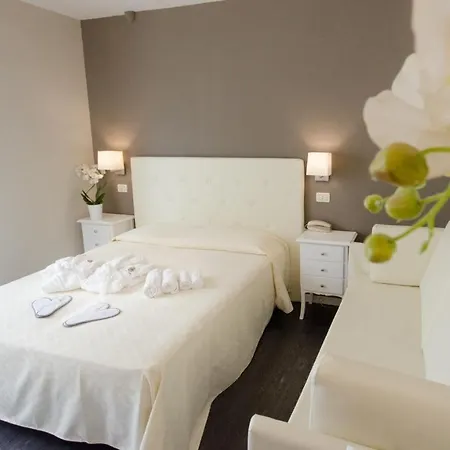 Отель Hotel Cervia